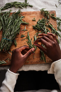 picking rosemary