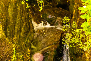 River steam Inn with rocks nature between mountains in Tyrol Austria.