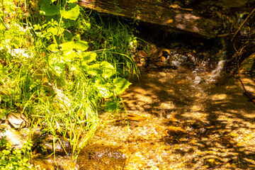 River steam Inn with rocks nature between mountains in Tyrol Austria.