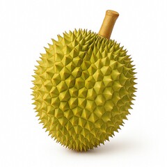 Whole durian fruit isolated on a clean white background. Spiky tropical fruit with detailed texture and sharp thorns, captured in high-resolution studio lighting.
