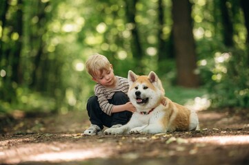 Stroking the pet. Little boy is with Shiba Inu dog in the forest