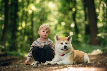 Little boy is with Shiba Inu dog in the forest