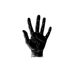 Detailed illustration of a black human hand against a clean white backdrop