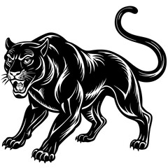 black and white tiger