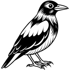 Obraz premium eagle vector illustration