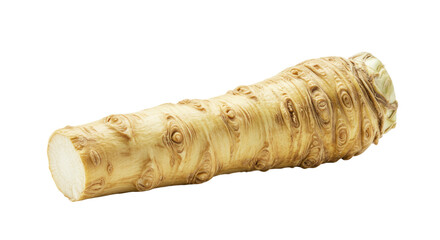 Detailed Horseradish Root with Textured Surface and Cut End