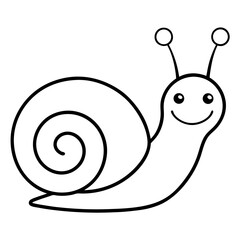 snail on white background