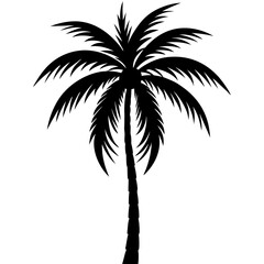 Obraz premium palm tree silhouette