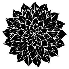 black and white flower