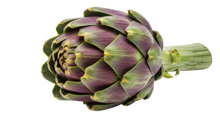 Obraz premium Fresh Artichoke Head with Purple and Green Petals Stem Detail