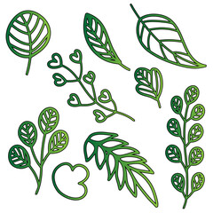 Collection of green leaves and botanical elements