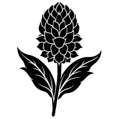 black and white flowers