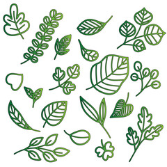 Collection of Green Leaf Outlines