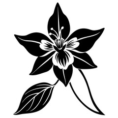 Obraz premium black and white flower