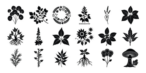 Vintage Botanical Silhouette Set: Reishi, Neem, Chicory, Herbal Bottles & Drying Racks