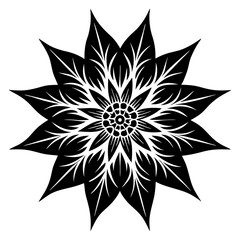 black and white flower