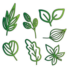 Vector Green Leaf Outlines Colection