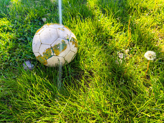A soccer ball is sitting on the grass. The grass is green and the ball is white. The ball is cracked and has a green and brown surface