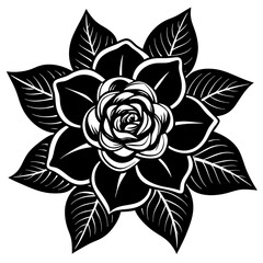 black and white rose