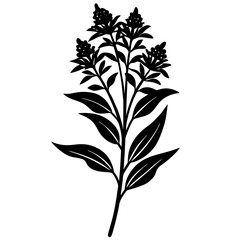 Naklejka premium black and white flowers