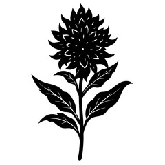 black and white flower