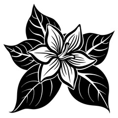 black and white flower