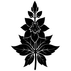 black and white flower