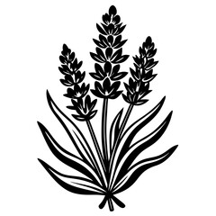 set of black silhouettes of leaves