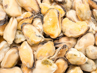 The frozen mussels background.