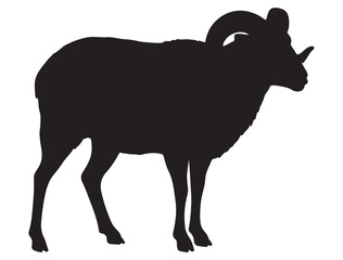RAM SILHOUETTE
