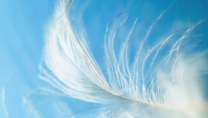 ethereal close-up of delicate white feather with fine barbs against soft sky blue background, ideal for minimalist web design, wellness branding, or editorial layout

