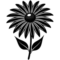 black and white flower