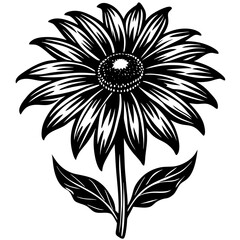 black and white flower
