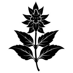 vector black and white flower