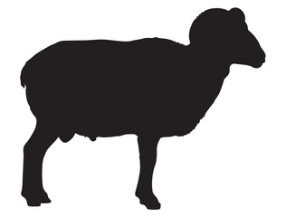 RAM SILHOUETTE