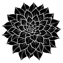black and white flower