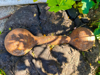 Two old weights and covered in rust. The scene unfolds against a background of greenery with leaves.