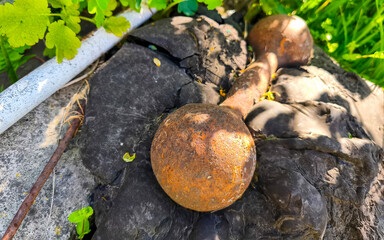 Two rusty weights are sitting on a rock. The rock is covered in moss and has a weathered appearance. Concept of history and the passage of time