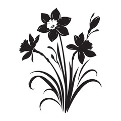 Elegant Daffodil Silhouette Illustration Spring Flower Bouquet Graphics