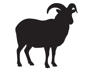 RAM SILHOUETTE
