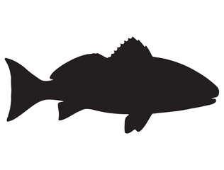 RED DRUM FISH SILHOUETTE