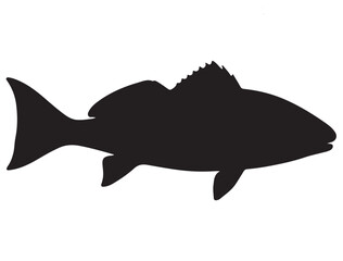 RED DRUM FISH SILHOUETTE