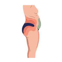 Illustration of human body showing fat storage in side profile  