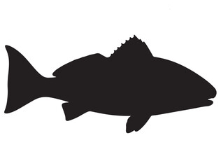 RED DRUM FISH SILHOUETTE