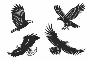eagle vector illustration