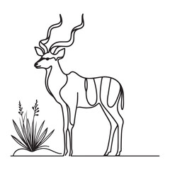 Kudu Antelope Elegant Single Line Art Illustration for Wildlife Designs