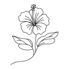 Hibiscus Flower Detailed Botanical Illustration Vector Line Art Style