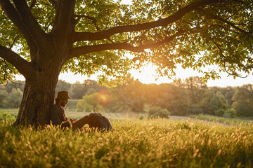 Gentle evening light bathes the serene countryside as a man rests under a tree, enjoying solitude.