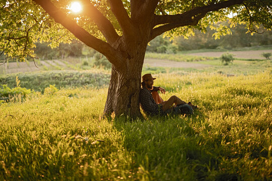 Man enjoying a quiet moment sitting under a tree in a pastoral setting during a golden sunset, evoking peace and harmony with nature.