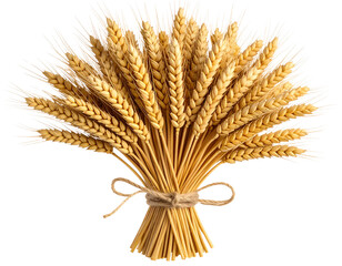  &ldquo;Golden Wheat Ears Bundle, Realistic Top View, Transparent PNG&rdquo;
